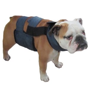 PolarPup™ Deluxe Vest with Neck Band