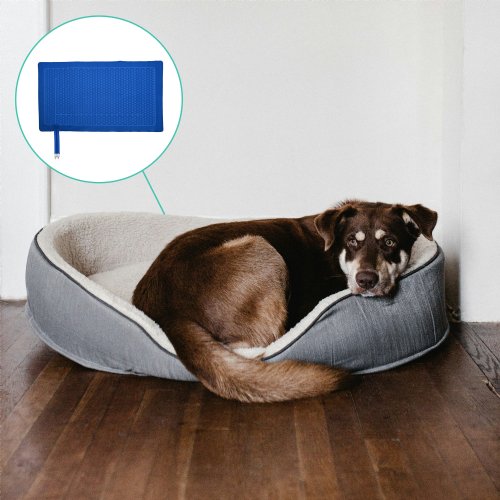 Active Ice 3.0 Blanket Cold Therapy system with blue 15 Quart Cooler by itself against a white background