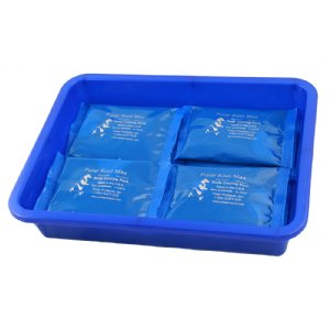 Blue plastic freezer container holding kool max cold packs