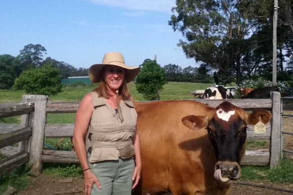 Woman wearing a khaki Kool Max adjustable zipper front cooling vest standing next to a cow