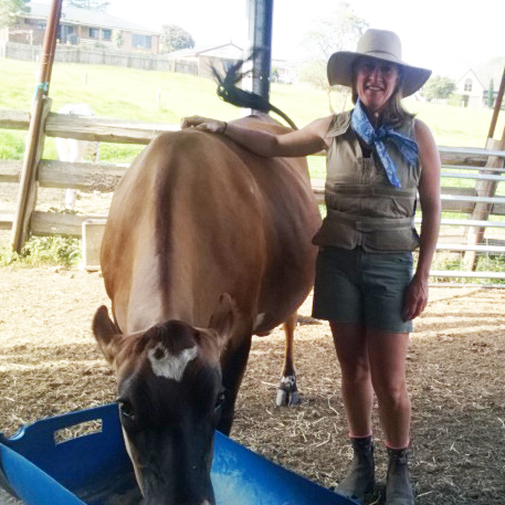 Woman wearing a Kool Max adjustable zipper front cooling vest and MS awareness fashion cooling scarf standing next to a cow