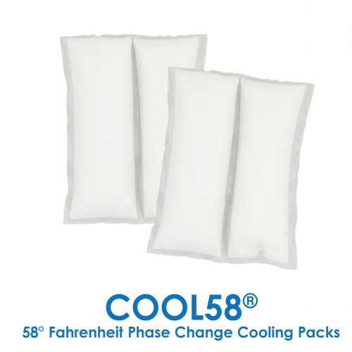 Clean Room Cooling Vest with (8-10) 4.5" x 6" Kool Max® Packs
