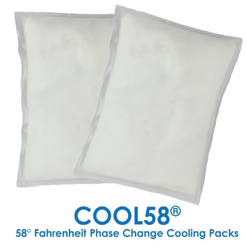Adjustable Zipper Cooling Vest with (5-12) 4.5" x 6" Cool58Â® Phase Change Packs