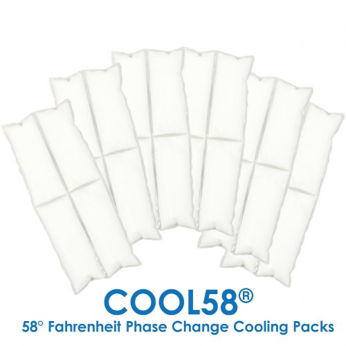 Torso Cooling Vest
