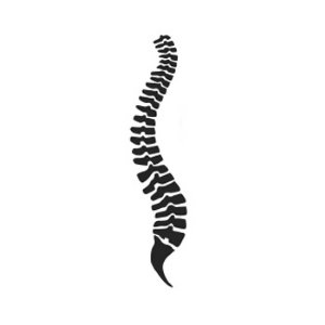 Spine logo